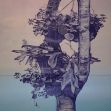 Hang ups (2)