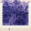 Distant geographies and repeated walks