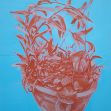 Helmet planter 9