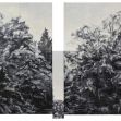 Disrupted landscape 1